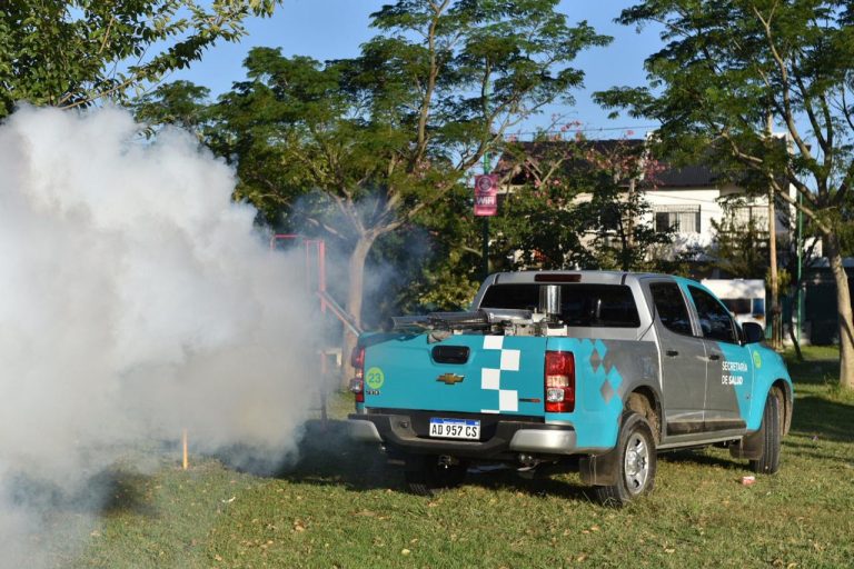 El dengue sigue en aumento en La Plata: 80 casos