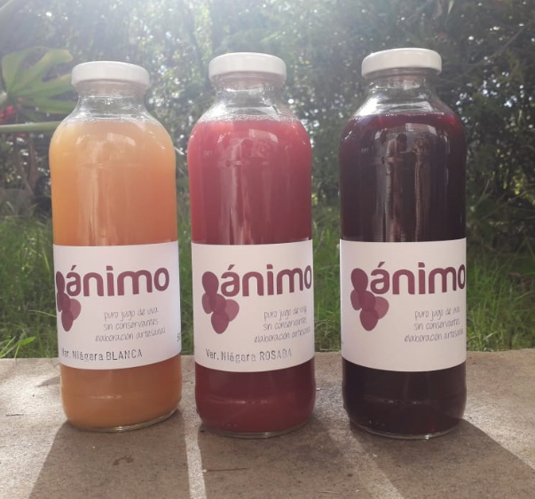 ANIMO JUGOS