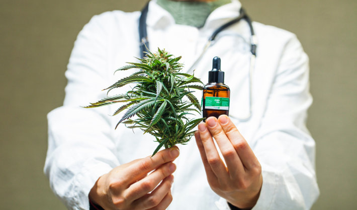Legislatura bonaerense impulsará el proyecto de Ley de Cannabis Medicinal