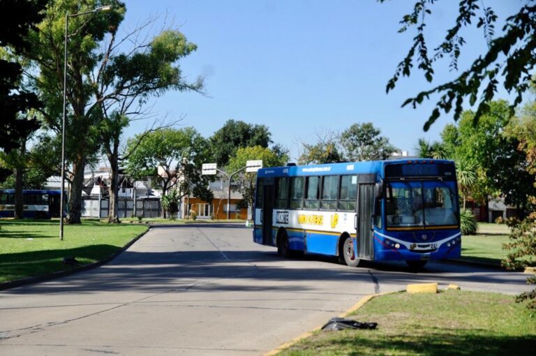 La Plata: incrementan la frecuencia del transporte público en horarios escolares