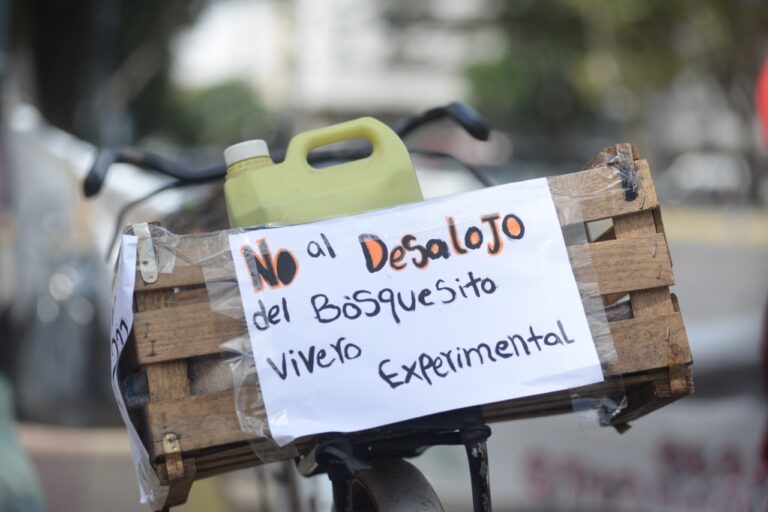 El vivero “El Bosquesito” movilizó al municipio para evitar el desalojo