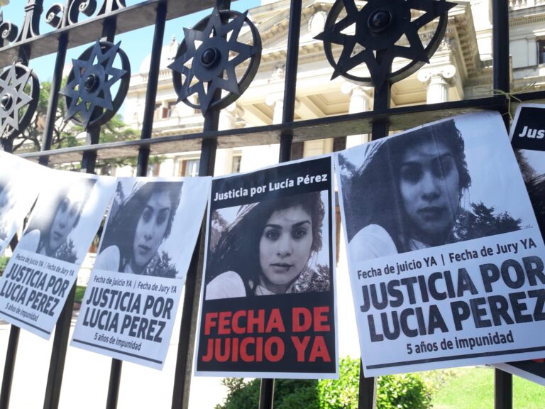 “Estamos luchando por Lucía Pérez y por todas las que faltan”