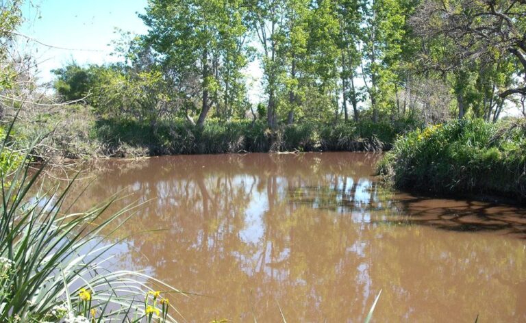 Realizarán un Festival en defensa del humedal del arroyo El Pescado