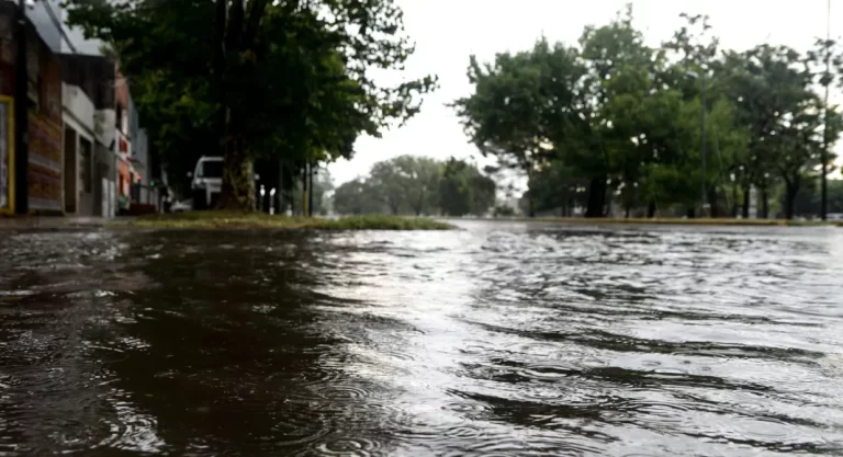La Plata y el riesgo de inundaciones: reclaman a la intendencia el acceso a la “participación popular”