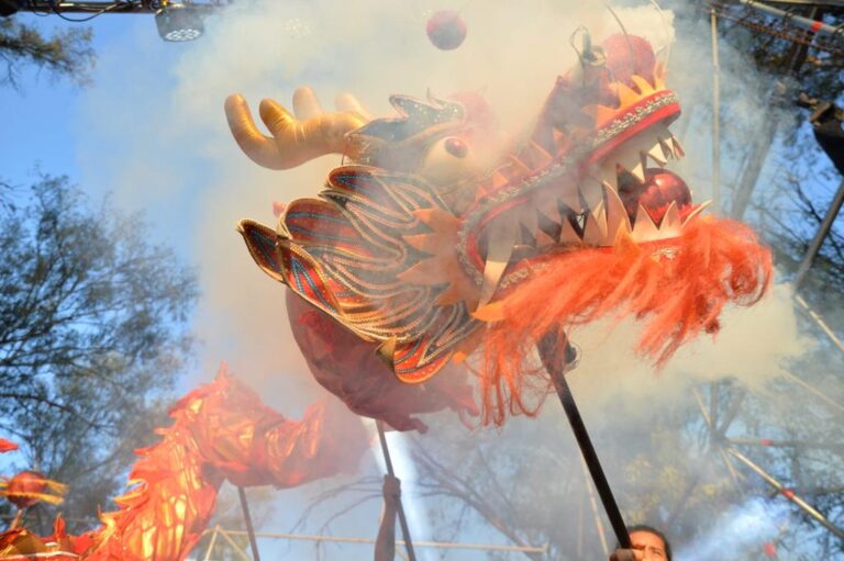 En fotos: así se vivió el año nuevo chino en La Plata
